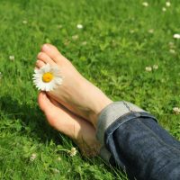 AdobeStock_14362737-mini
