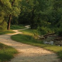 AdobeStock_1531737582-mini
