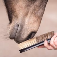 AdobeStock_429771748