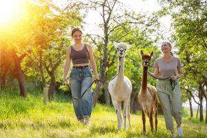 AdobeStock_440636454