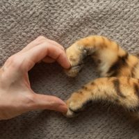 AdobeStock_520825129